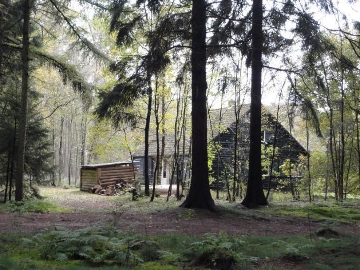 MINI SABBATICAL een training in de natuur op het landgoed Heidehof in mei 2020 Vijf dagen op een locatie die uitnodigt tot reflectie en herbronnen.