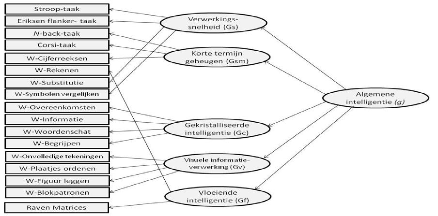 Verwerkingssnelheid en Vrijheid van Afleidbaarheid: werkgeheugen beïnvloedt Cijferreeksen en Rekenen (Kranzler, 1997), inhibitie beïnvloedt Substitutie en Symbolen Vergelijken.