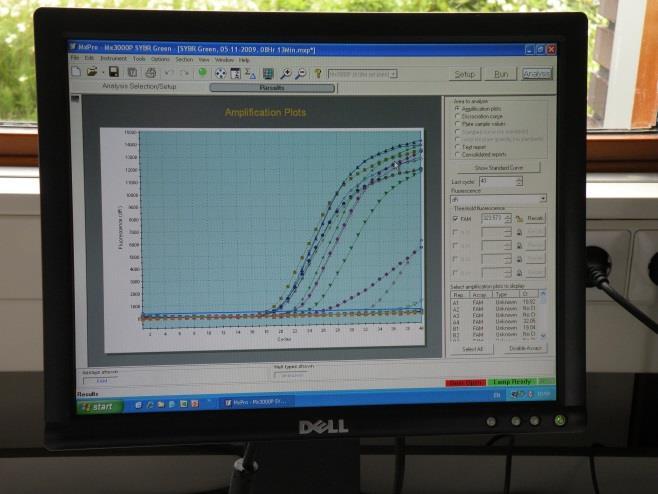 Water- en bolontsmetting Middelen (allen met bewezen werking in schoon lab) Hitte UV Ozon (O 3 )