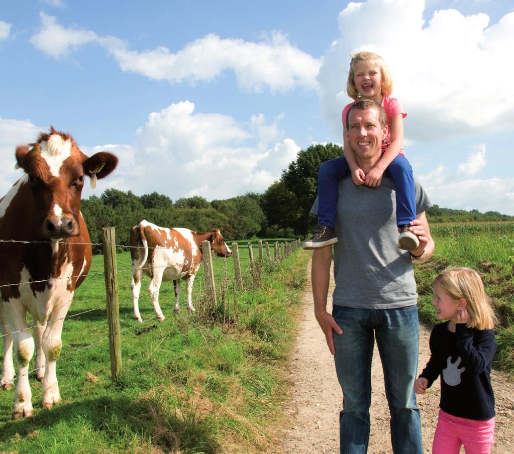 Gezond meedoen in Meerssen Samenvatting Lokaal