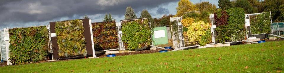 VIS traject Groen Bouwen Onderzoeksthema s Parameters Waterverbruik en -kwaliteit Akoestiek LCA