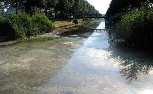 Figuur 11: voorbeeld natuurvriendelijk profiel variabel min. 1:3 variabel Watercirculatie Voldoende watercirculatie is van belang om de effecten van eutrofiëring of vermesting tegen te gaan.