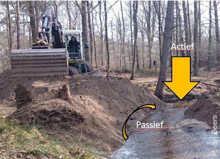 effecten van beschaduwing, de stuurknoppen voor een ecologisch verantwoord peilbeheer, de aanleg en invloed van grindsuppletie en de ins en outs van zandsuppletie.