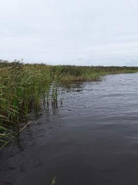 6 RESULTATEN WATERLICHAAM FLUESSEN E.O. Van het waterlichaam Fluessen e.o. is in 218 het water Fluessen-Heegermeer bemonsterd.