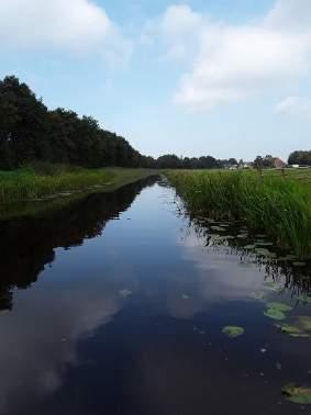 1 RESULTATEN WATERLICHAAM ZUIDOOST FRIESLAND VAARTEN ZONDER RECREATIEVAART (SCHOTERLANDSE COMPAGNONSVAART) Van het waterlichaam Zuidoost Friesland vaarten zonder recreatievaart (NL2L1b) is in 218 het