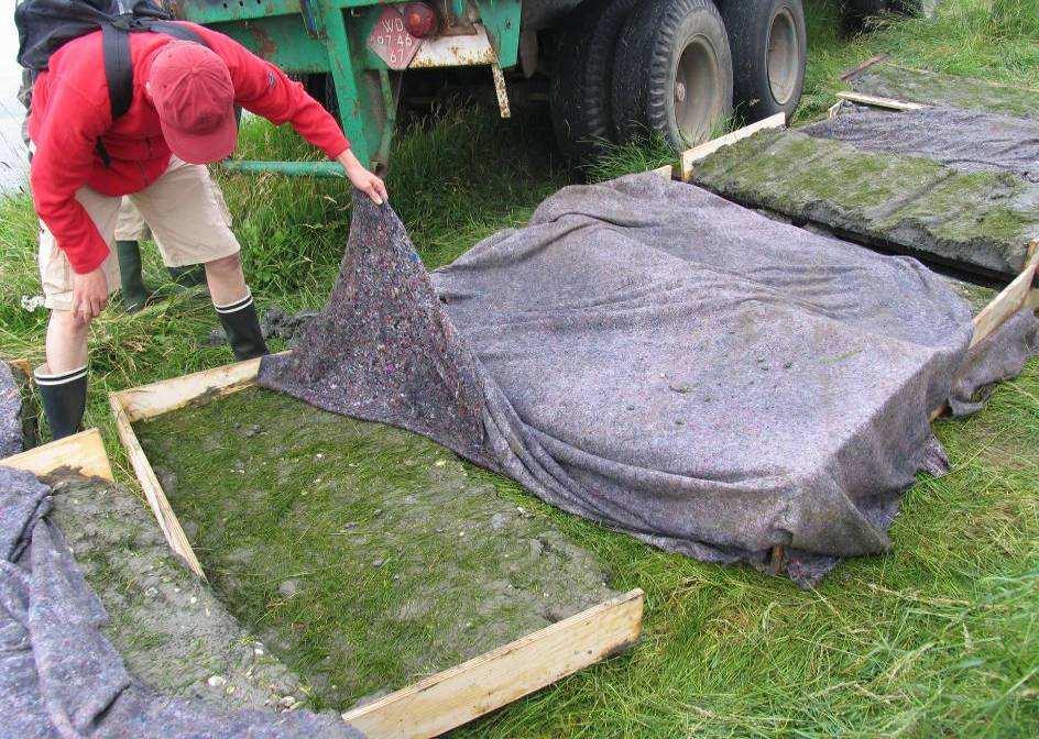 Vervoer van plaggen Zeegrasplaggen zijn in houten kisten van 1,5 m bij 0,75 m vervoerd, die voorzien zijn van een plastic laag onderin en aan drie zijden voorzien zijn van een 15 cm hoge zijwand.