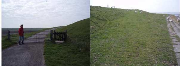 tot helemaal bij het zeegras in de buurt. Een kraan kan het slik op in de hoek bij 4.