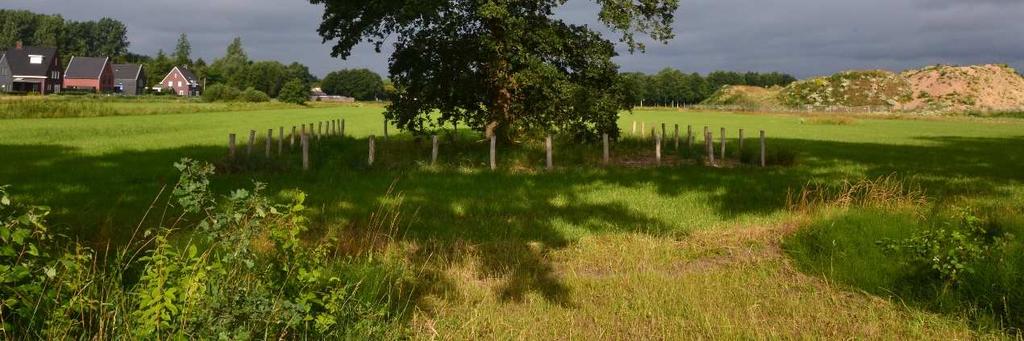 overgebleven van het vroegere agrarische gebied dat hier was.