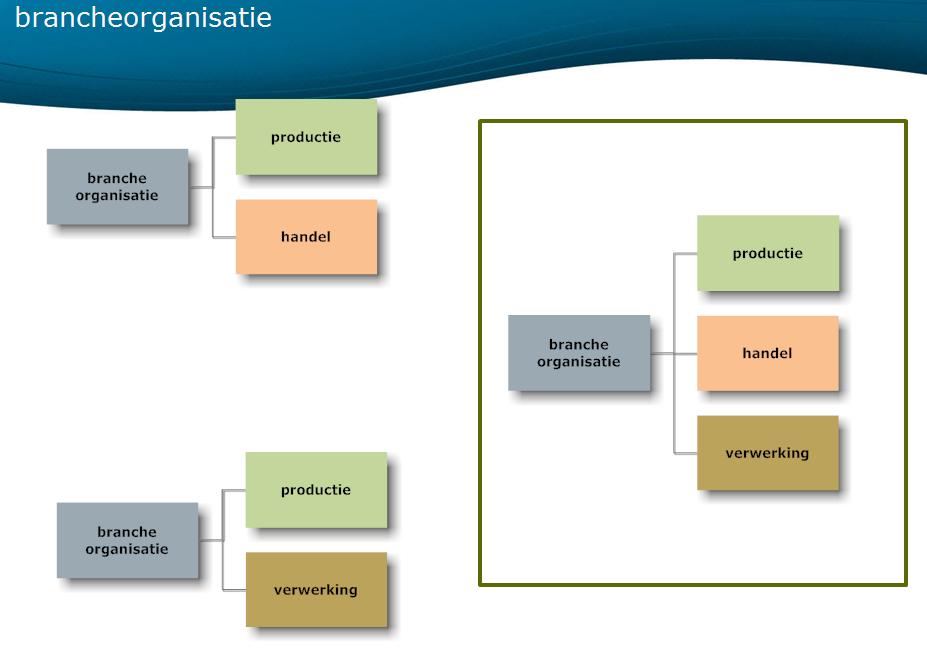 Figuur 3 - schematische voorstelling samenstelling brancheorganisatie (bron: departement LV, PowerPoint presentatie Guy Lambrechts) [2] Daarenboven hebben lidstaten op basis van nationale wetgeving