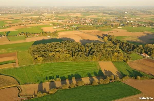 Figuur 2. In het versnipperde Vlaamse landschap spelen bosfragmenten een belangrijke rol voor bestuivers.