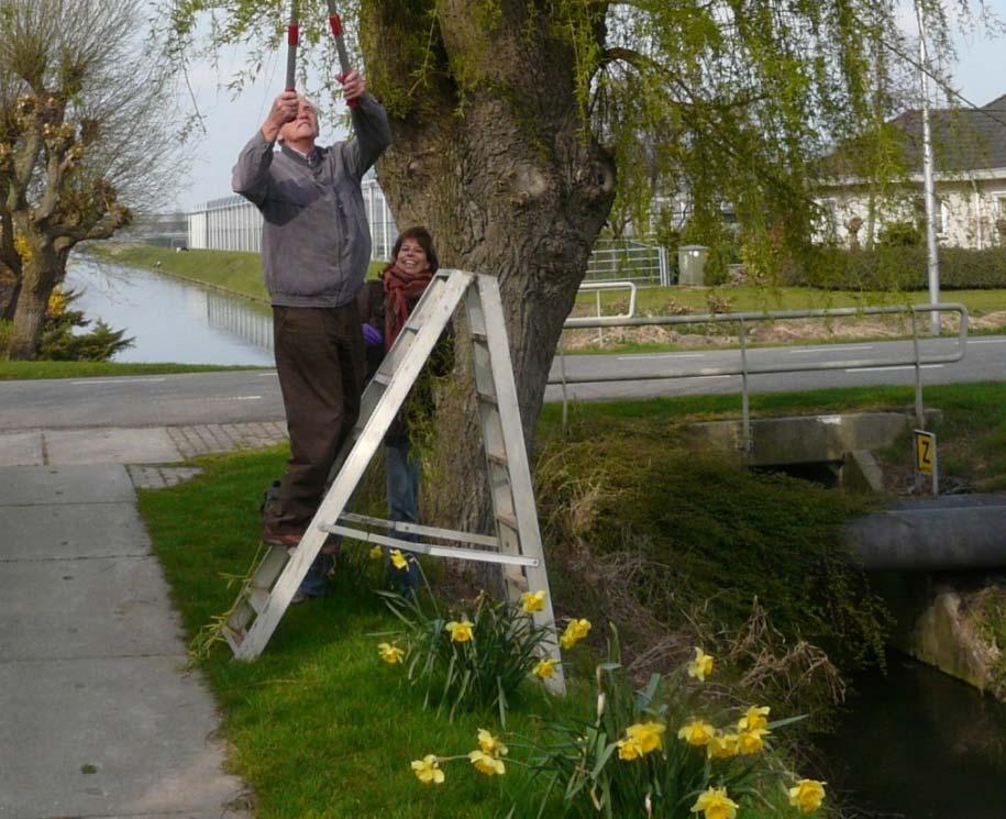 door aan hun stuifmeel