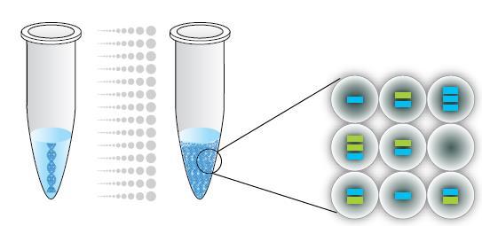 Oncotarget.