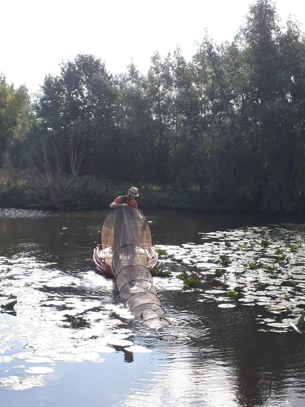 Figuur 10 Het plaatsen van een schietfuik op KM1 deel 2 (Scherenmeersen). Elke schietfuik heeft twee 7,7 m lange fuiken, waartussen een net van 11 meter gespannen is.