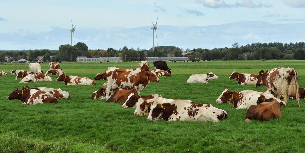 Klimaatneutraal ontwikkelen INHOUD Continu verbeteren