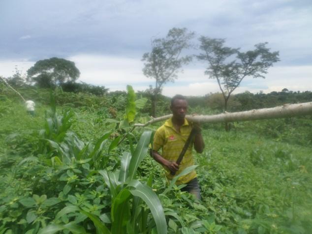 Resultaten van het project *Tegengaan van de ernstige gevolgen van klimaatverandering door de