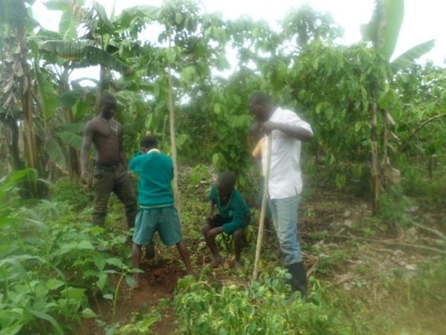 klimaatverandering *Vergroting van de inkomsten van arme boeren door sterk verbeterde koffieoogst