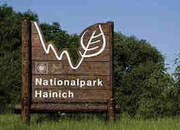 Nationaal Park Hainich (GE) 5000 ha beukenbos Twee beheersystemen: Schermslag Opstanden 4 8 ha