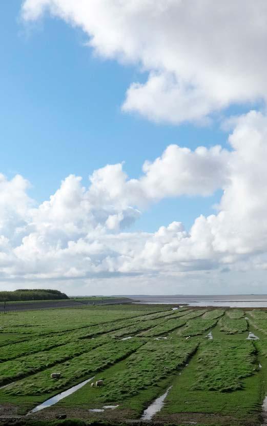 8 De weg naar herindeling van de vier gemeenten De gemeenten Bedum, De Marne, Winsum en Eemsmond delen veel gemeenschappelijk in het doorlopen van het proces om te komen tot het besluit samen op te