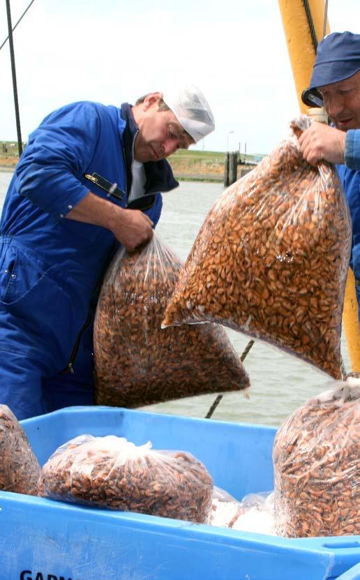 30 Motieven en achtergronden voor herindeling Dit hoofdstuk schetst achtereenvolgens de motieven en achtergronden voor de samenvoeging van de