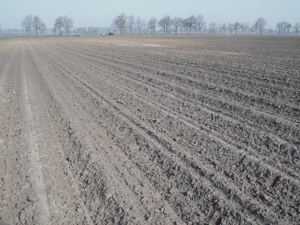 3. Veldonderzoek 3.1 Methoden en technieken Het veldwerk vond plaats op 25 april 2006.