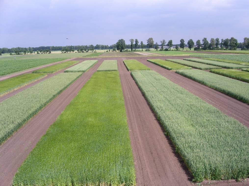 Overzicht Bodemgezondheidsproef Vredepeel 4