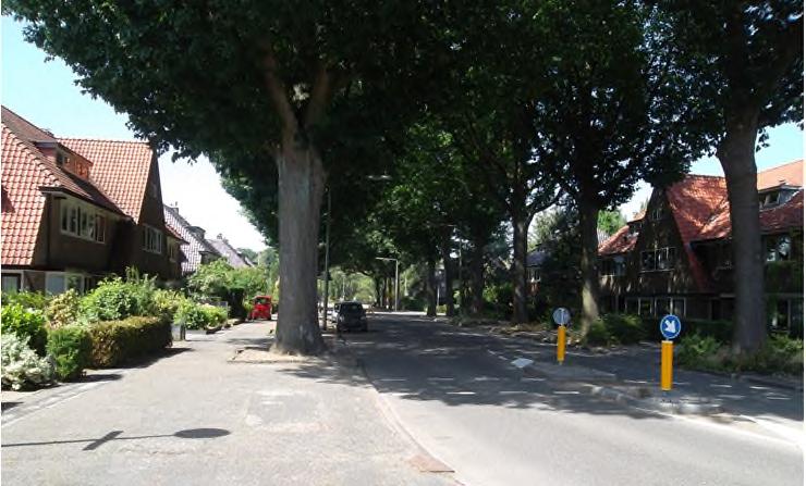 4 m lang); asfaltweg (ca. 10,5 m); asfalttrottoir (5,5 m), waarbinnen aan de straatzijde de boomspiegel van de straatbomen valt (3 m breed, 4 m lang); particuliere tuin.
