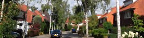 Kochstraat en Einsteinstraat) staan de bomen naast een 2 m
