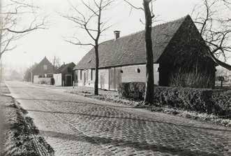 Het kanidassenbos in de Heuvelakkers achter de klompenmakerij van Hoeks Secretaris Bert