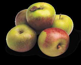 Snijd de appels elk in 5 gelijke plakken.