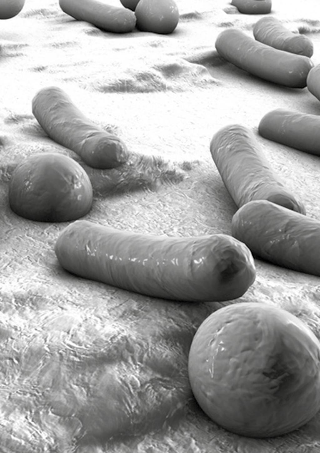 Het intestinale microbioom is een hot item. En dat is geen wonder: het microbioom heeft een enorm grote invloed op de menselijke gezondheid (zie afb.1).