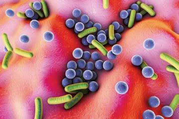 Diverse bacteriën op het darmslijmvlies, 3Dillustratie De ontdekking van de menselijke enterotypen in 2011 bleek voor het menselijk intestinale microbioom een belangrijke ontdekking te zijn.