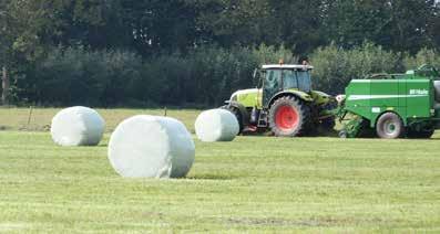 beide: open zode voor de smaak en dicht genoeg voor een lage onkruiddruk. Met Timothee voor extra smaak en koudetolerantie.