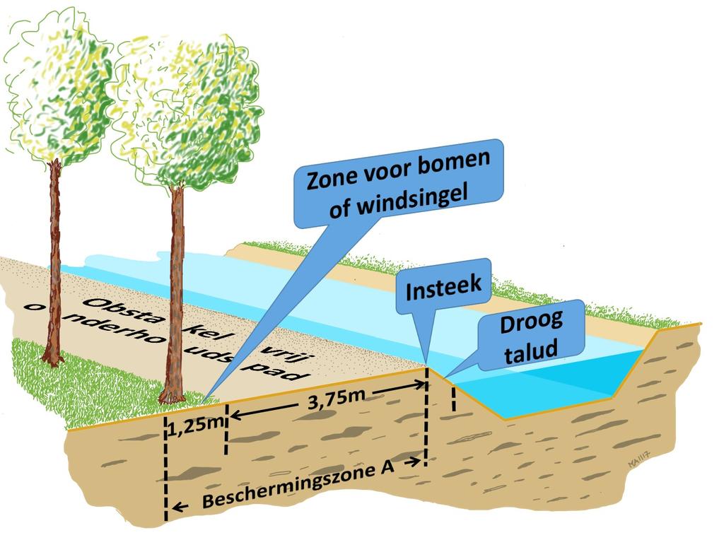 Figuur 11.2 Bovenaanzicht beplanting in de beschermingszone A van een watergang Situatie met obstakelvrij onderhoudspad direct naast de insteek van het talud van de watergang 11.2.2 Zorgplicht De zorgplicht zoals bedoeld in artikel 3.