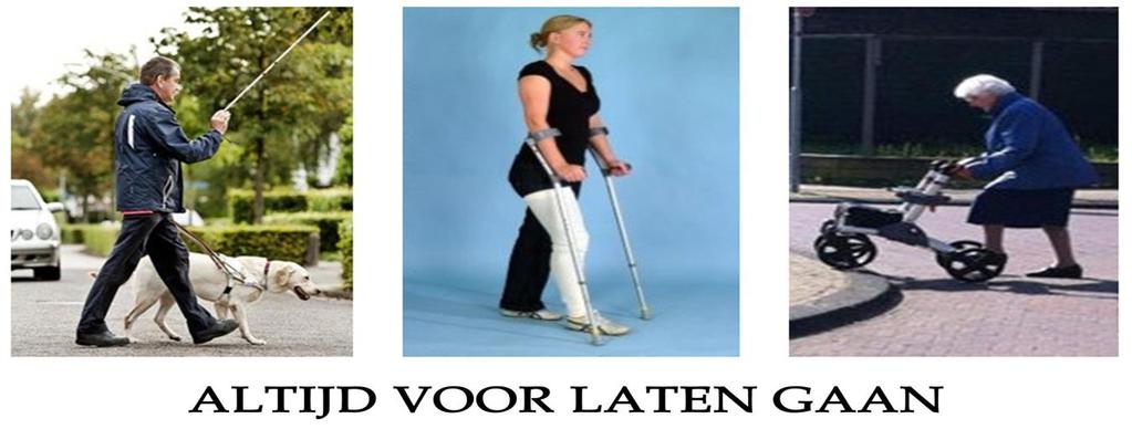 Voetganger met blinde stok ( wanneer ze aangeven ) P.