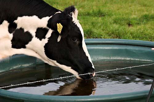 Kwaliteit drinkwater Besluit welzijn productie dieren