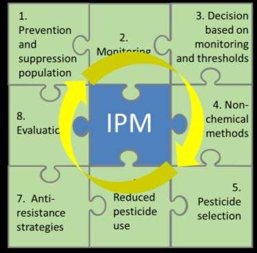 Integrated Pest Management (IPM)