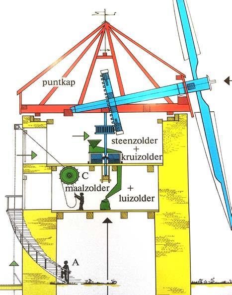 Bouwjaar Over het bouwjaar van De Grafelijke Korenmolen bestaat nog geen sluitend bewijs. De molen is eigendom van Stichting Huis Bergh.