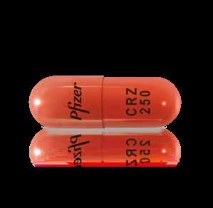 De gebruikelijke dosis is tweemaal daags één capsule crizotinib van 250 mg: Neem één capsule s ochtends in en één capsule s avonds. Doe dit elke dag op ongeveer hetzelfde tijdstip.