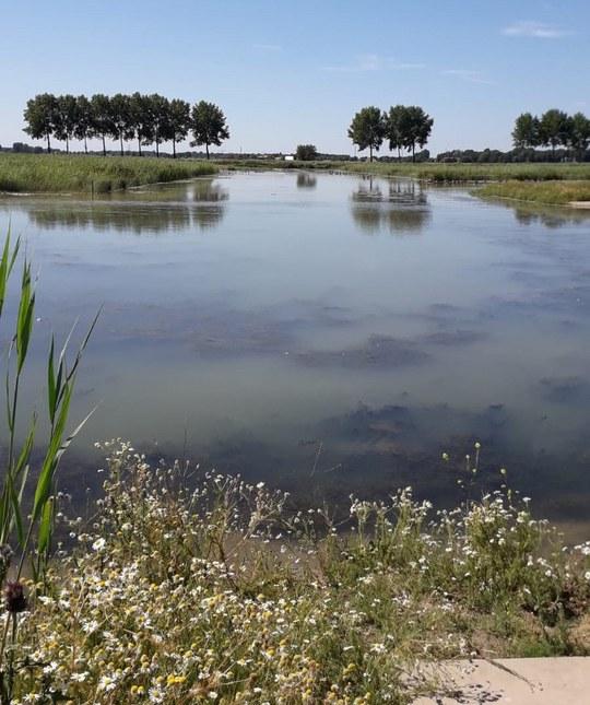 Het Waterrijk in Park Lingezegen Onderwerpen in deze nieuwsbrief : Reserveren veldlessen