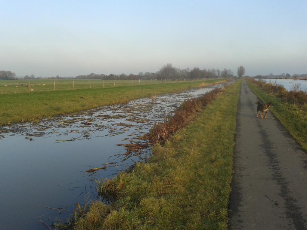 grote schade NVO Noordvliet, Duifpolder,Gemeente Midden Delfland 16 december/17 december 2016 (vraag 1) Uitwerpselen