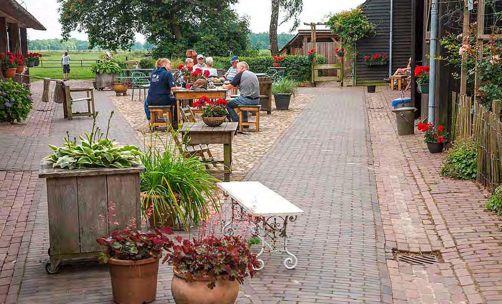 Op het terras kunt een kop koffie/thee drinken.