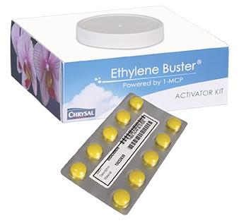 Product sheet Ethylene Buster tablets Algemeen Naoogstbehandeling voor ethyleengevoelige bloemen (zoals Cymbidium, Dendrobium, Dianthus, Lilium), tulpenbollen en potplanten (zoals Achimenes,