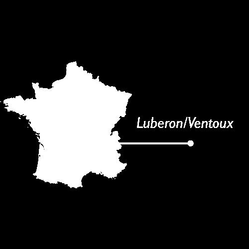 De gronden van zand en klei (door de lange aanwezigheid van de zee in de Provence) geven meer soepele, lichtere wijnen met tonen van vers fruit.