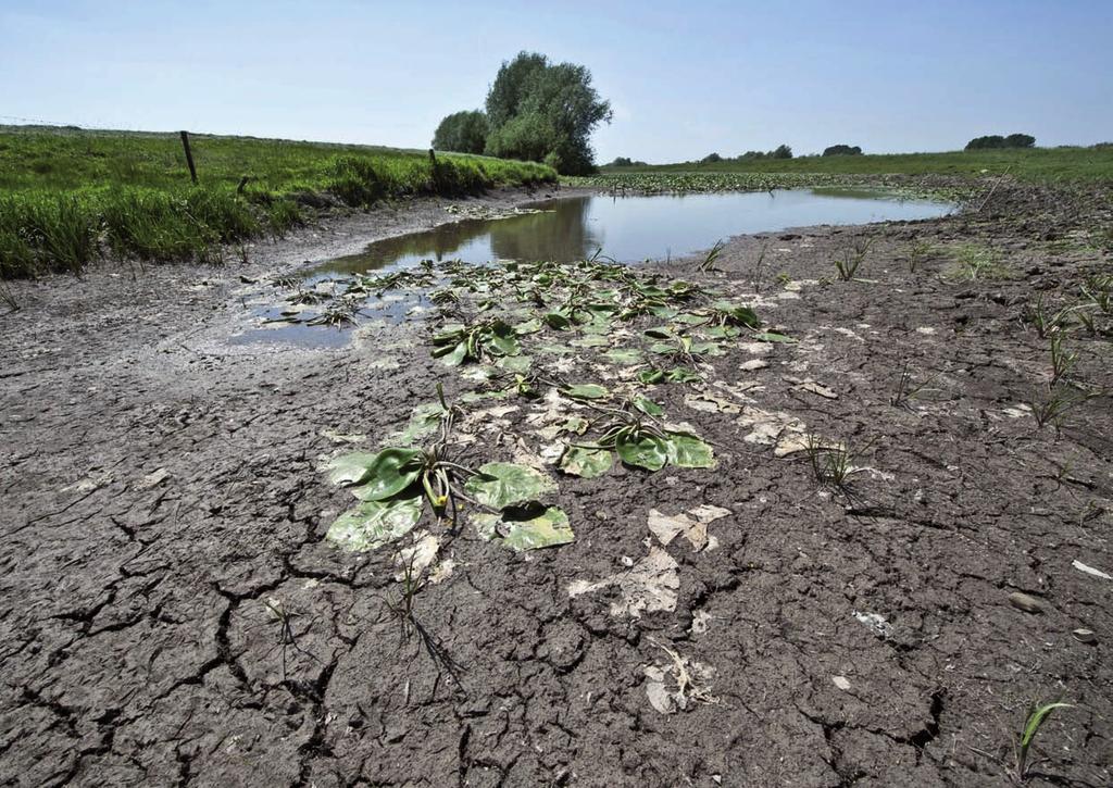 14 Het Nieuwe Peil Mei 2012 Klimaatverandering in Nederland: Een extreme schommeling in het waterpeil als gevolg van de klimaatverandering is niet een fenomeen uit een abstract toekomstscenario.
