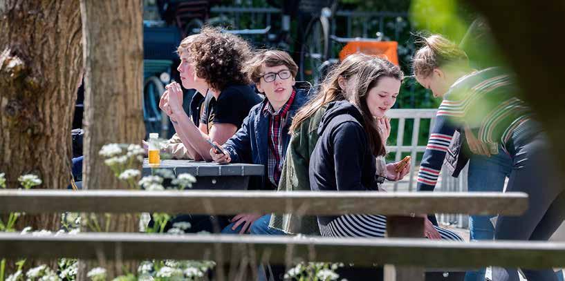 TWEETALIG ONDERWIJS, GYMNASIUM,