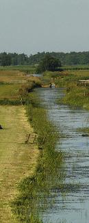 Weidestreek in Overijssel In de Weidestreek in Overijssel valt op dat de grondprijs voor grasland[2] (voortschrijdend gemiddelde) in 3 jaar tijd is gestegen van 49.300 / ha naar 58.