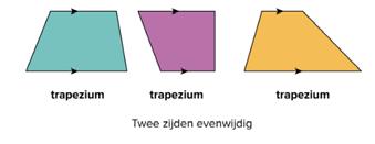1 VIERHOEKEN Sheet 4 Vierhoeken worden vernoemd naar hun eigenschappen. Evenwijdige zijden Zijden van gelijke lengte Rechte hoeken Laat de leerlingen opschrijven hoe ze denken dat deze figuur heet.
