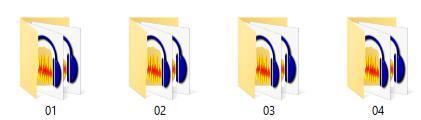 Op de SD-kaart staan 4 folders, 01 t/m 04. In folder 01 staan 10 mp3-bestanden 001.mp3 t/m 010.