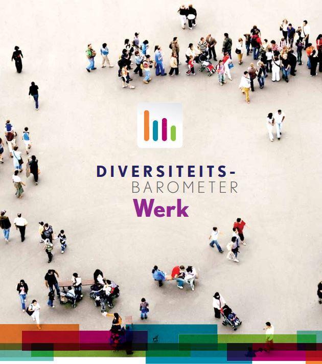 2. Diversiteit op de werkvloer vandaag (6) Diversiteitsbarometer Werk (2012) Doelstelling - Een structureel meetinstrument uitwerken - Op een wetenschappelijk onderbouwde manier een