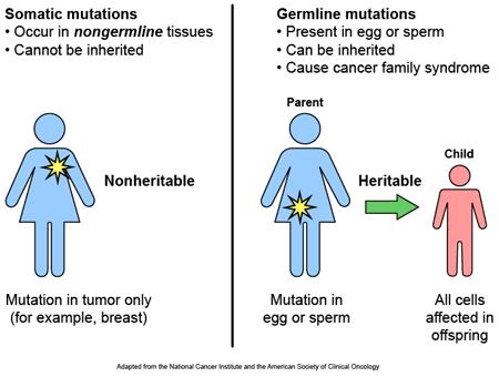 Variaties in het genoom kunnen kanker